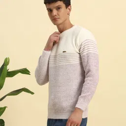 Men Striped Round Neck Purple Sweater-image-3