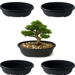 Bonsai Pot for Indoor & Outdoor Plant Container Set-image-87