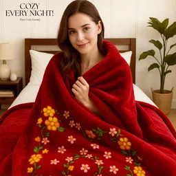 bsb home Printed Double Mink Blanket for Heavy Winter image 3