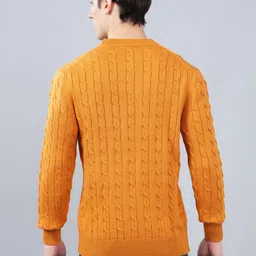 cantabil Men Woven Round Neck Yellow Sweater image 2