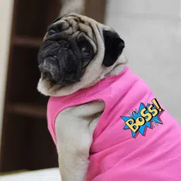 baeship studio T-shirt for Dog-picture-14