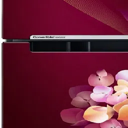 samsung 236 L Frost Free Double Door 2 Star Refrigerator image 4