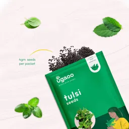 ugaoo Tulsi Herb Seed image 2