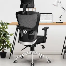 Mexico Pro Mesh Cushion Lumbar Support, Any Angle Tilt Lock Mesh Office Executive Chair-image-36