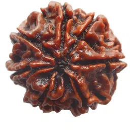 beautum NEPALI 7 MUKHI RUDRAKSHA WITH NATURAL FINISH Wood Pendant image 2