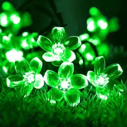 nisco 20 LEDs 4 m Green Steady Flower Rice Lights-picture-16