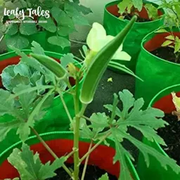 sri sai fashion Lavishgrow 9×9 Pack of 5 Grow Bag image 3