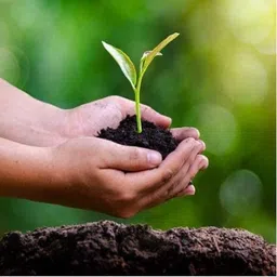 53 badshah Vermicompost mix soil Potting Mixture, Soil, Manure image 2