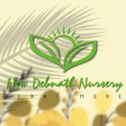 new debnathnursery Guava Plant image 4