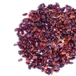 ravel Amla Seeds - Indian Gooseberry, Organic Emblica Officinalis Seeds (25 Seed) Seed-picture-19