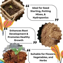 rama pipe COCOPEAT POWDER 1 KG- 100% NATURAL AND ORGANIC COCOPEAT / COIRPITH POWDER Potting Mixture image 4