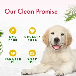 bscly Anti Dandruff Dog Shampoo - Pet Shampoo For Dogs & Cats - Allergy Relief Activated Charcoal & Aloe Dog Shampoo image 4