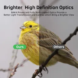 EBOFAB Compact Binoculars Easy Focus for Kids Adults Bird Watching Travel Hunting Binoculars image 3