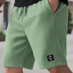 indiclub Self Design Men Light Green Regular Shorts image 3