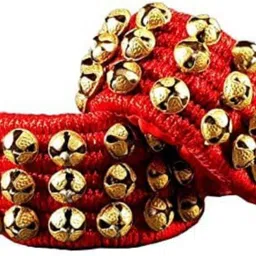 pranchi Bharata Muni, Bharatanatyam, Kathak, Kathakali Ghungroo-picture-32