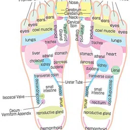 Mobik paduka-001 Unisex Magnetic Therapy Spring Acupressure Foot Massager Massager image 3