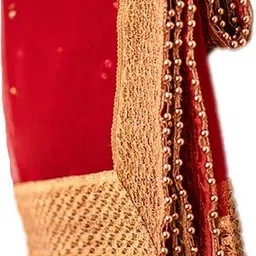 apna kapda bazaar Net Embellished Gold, Red Women Dupatta-picture-13