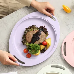 lybaa Lightweight Oval Food Trays Wheat Straw Plates Sizzling Platter Fast Food Tray Sizzler Tray image 2