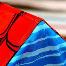 vaalyatoys Tent House for Kids, Farm House Playing Tent, Foldable & Light Weight Play Tent image 4