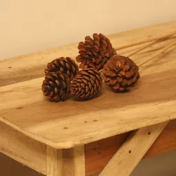 vanchai Natural Dried Small Pine Cone Flower for Diwali, Vase Filler, Decoration Beige Wild Flower Artificial Flower-picture-20