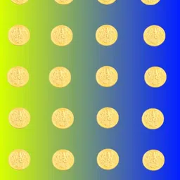hoiva Gold Coin-picture-13