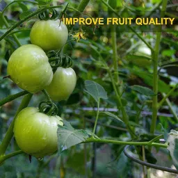 a & v enterprises Waste Decomposer (Pack of 4) Organic Ncof Decomposer for kitchen & compost maker Manure image 3