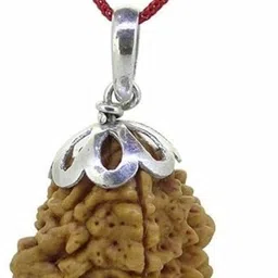 beautum 2 Mukhi Rudraksha Nepali Two Mukhi Rudraksha Original with capped Wood Pendant image 2