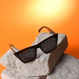 French Accent Men Butterfly Sunglasses with UV Protected Lens SS23FA_HSSG1112-picture-35