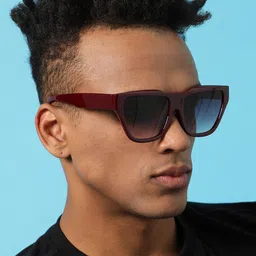 French Accent Men Butterfly Sunglasses with UV Protected Lens SUM23FA_HSSG1053 image 4