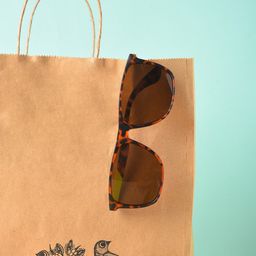 HAUTE SAUCE by Campus Sutra Women Brown Lens & Brown Wayfarer Sunglasses with Polarised Lens-picture-2