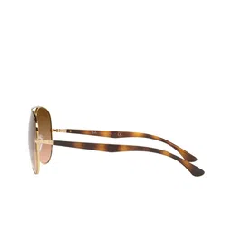Ray-Ban Unisex Brown Lens & Gold-Toned Aviator Sunglasses with UV Protected Lens image 4