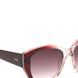 IDEE Women Round Sunglasses with UV Protected Lens IDS3026C3SG image 5