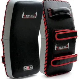 xpeed MMA Or Taekwondo Thai Pad image 1