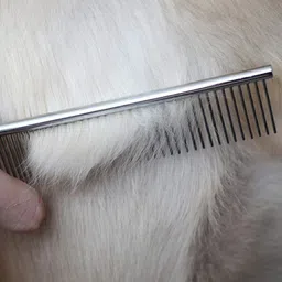 petfun Large Stainless Steel Comb Grooming Tool for Dogs & Cats Basic Comb for Dog & Cat image 4