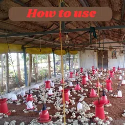 saf 5 L Water Trough image 4