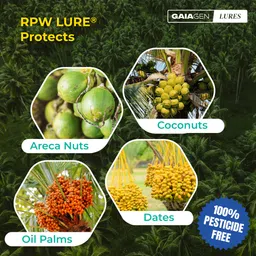 gaiagen RPW Lure- Pheromone for Red Palm Weevil (Rhynchophorus ferrugineus) image 2