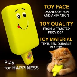 dreamauro Ice Cream Smiley Squeaky Toy for Dogs – Fun Chew, Fetch & Durable Rubber Play Rubber Chew Toy, Rubber Toy, Squeaky Toy, Training Aid, Ball For Dog & Cat image 4