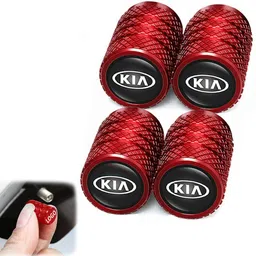 pavani Aluminium Tyre Valve Cap for Car-picture-13