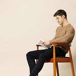 mr bowerbird Men Self Design Round Neck Beige Sweater image 4