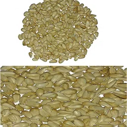 foodies puppies Safflower Seeds/Kusum Beej/Kardi Seed for Birds 0.31 kg (3x0.1 kg) Dry Adult, Young Bird Food image 2