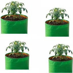 future organic system Green Grow bag -240 gsm24*24-3 sheet, Indoor,outdoor,terrace,balcony gardening Grow Bag-picture-13