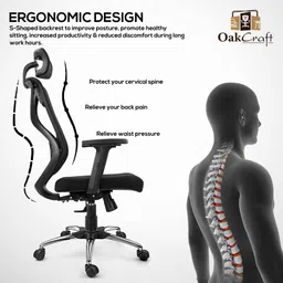 oakcraft Hurricane High Back Ergonomic Chair with Multi Synchro Mechanism Mesh Office Adjustable Arm Chair image 2