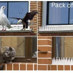 spikestore Bird Spike image 1