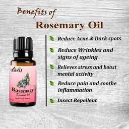 tavis Rosemary Essential Oil for Skin Care | Hair Care | Aromatherapy | Relaxation image 4