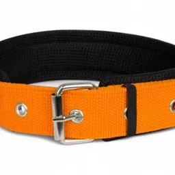 true dawg Premium Soft Padded Dog Belts for Large Breed Dogs (Neck Size: 19"-23.5") Dog Everyday Collar-picture-12