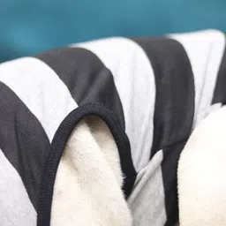 baeship T-shirt for Dog image 4