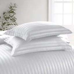 eleganzze Cotton Super King Flat 300 TC Striped Bedsheet image 4