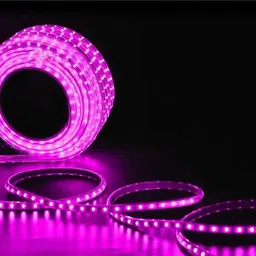 seetastic 240 LEDs 5 m Pink Steady Strip Rice Lights-picture-47