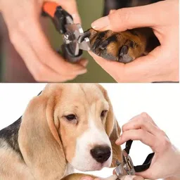 breedo Dog Grooming Kit ( Combo of 4 ) Pet Comb + Teeth Brush + Gloves + Nail Clipper Basic Comb forDog & Cat, Dog, Monkey, Rabbit, Hamster image 5