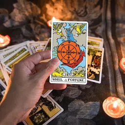 naitrafall Play New The Classic Waite Oracle Tarot Cards A 78-Card Deck image 4